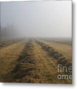 Windrows Metal Print