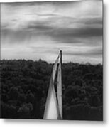 Wing On Wing Metal Print