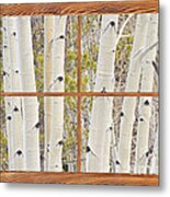 Winter Aspen Tree Forest Barn Wood Picture Window Frame View Metal Print