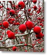 Winter Berryscape Metal Print