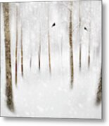 Winter Birches Metal Print