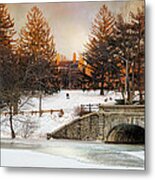 Winter Fun Metal Print