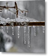 Winter - Ice Drops Metal Print
