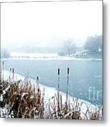 Winter Ice Metal Print