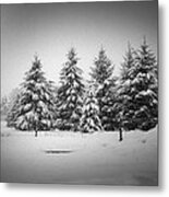 Winter In The North Metal Print