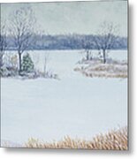 Winter Lake And Cedars Metal Print