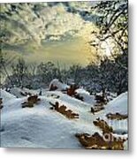 Winter Landscape Metal Print