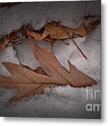 Winter Leaves On Log Metal Print