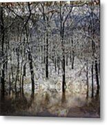 Winter Pond Frozen Metal Print