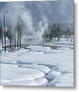 Winter Solitude Metal Print