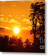 Winter Sunset Metal Print