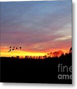 Winter Sunset Metal Print