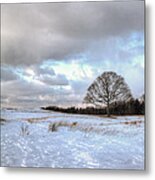 Winter Tree Metal Print