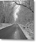 Winter Wonderland Metal Print