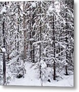 Winter Wonderland Metal Print