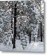 Winter Wonderland Metal Print