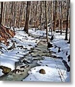 Winter's Creek Metal Print