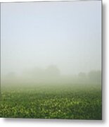Winters Foggy Morning Across The Farmers Field Metal Print