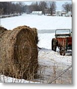 Winter's Rest Metal Print