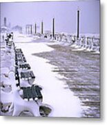 Winter's Silence Metal Print