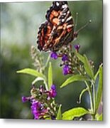 With These Wings Metal Print