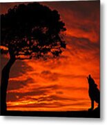 Wolf Calling For Mate Sunset Silhouette Series Metal Print