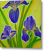 Wonderful Iris Flowers 3 Metal Print
