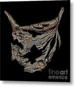 Wood 422 Metal Print