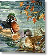 Wood Duck Pair Metal Print