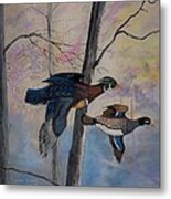 Wood Ducks Metal Print