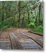 Wooden Bridge 1 Metal Print