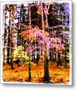 #woodland #autumn #nature #zzzzz Metal Print