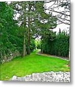 Woodland Pathway Metal Print