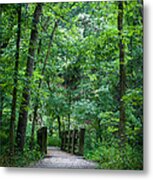 Woodland Trail Metal Print