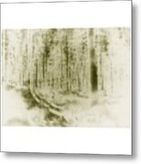 Woodland Walk Metal Print