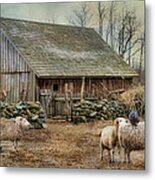 Wooly Bully Metal Print