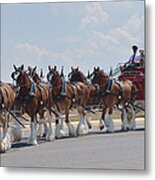 World Renown Clydesdales 2 Metal Print