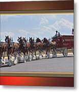 World Renown Clydesdales Metal Print