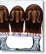 Yak Line Metal Print