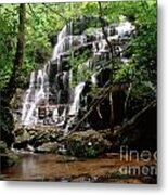 Yellow Branch Falls Metal Print