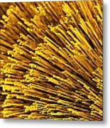 Yellow Bristles Metal Print