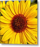 Yellow Metal Print