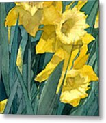 Watercolor Painting Of Blooming Yellow Daffodils Metal Print