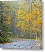 Yellow Fall Roadside Scenic Metal Print