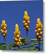 Yellow Flowers Against Blue Sky Metal Print