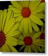 Yellow Flowers Metal Print