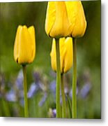 Yellow Flowers Metal Print