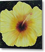 Yellow Hibiscus Metal Print