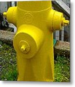 Yellow Hydrant Metal Print