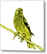 Yellow Lesser Goldfinch - 2235 F S M Metal Print